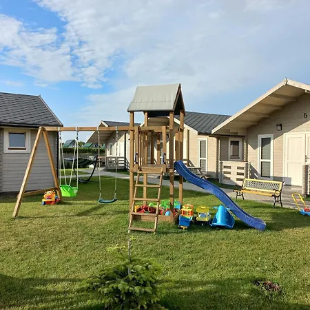 Szara Foka Nad Morzem * Gąski