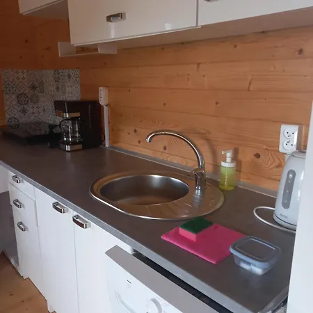 Szara Foka Nad Morzem Lodge Gąski