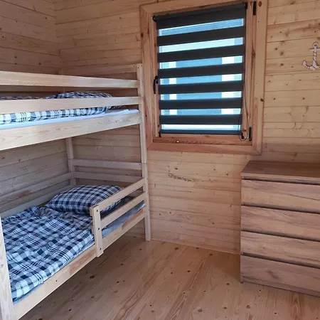 Szara Foka Nad Morzem Alpehytte