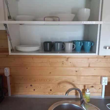 Szara Foka Nad Morzem Gąski