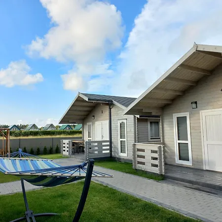 Szara Foka Nad Morzem