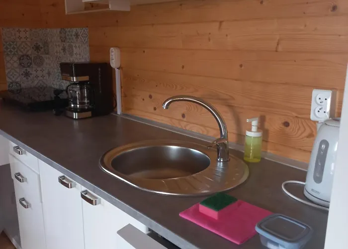 Szara Foka Nad Morzem Lodge Gąski